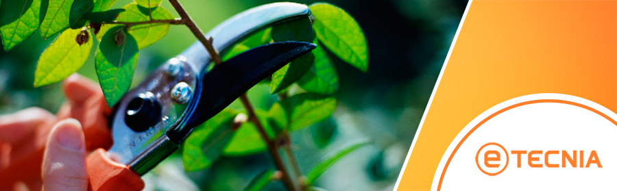 Consejos para alargar la vida de tus máquinas y herramientas de jardinería